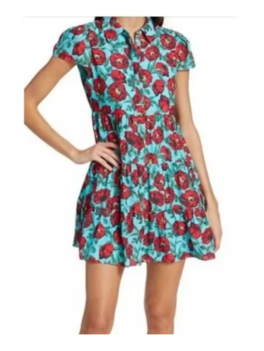 Alice + Olivia Aqua Dress with Red Floral Print - Picture 5 of 7